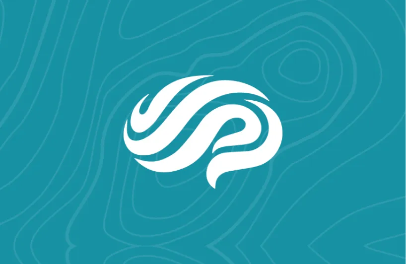 Academy of Brain-based Leadership website by WP Creative
