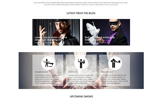 Magic Show Responsive WordPress Theme