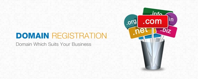Domain Registration Domain Registration