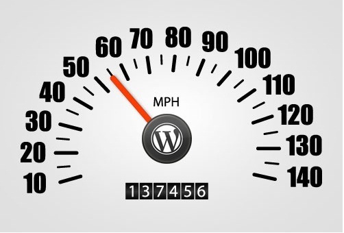 wordpress meter