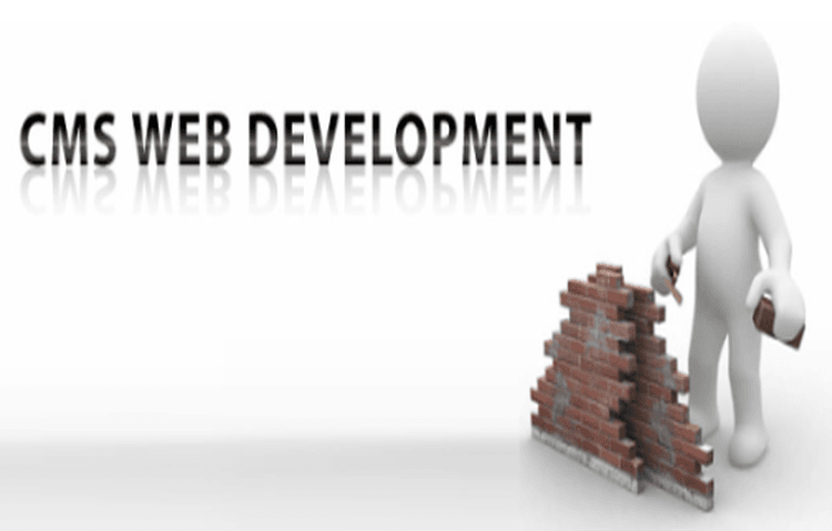 Choose The Best CMS For Website Development Choose The Best CMS For Website Development