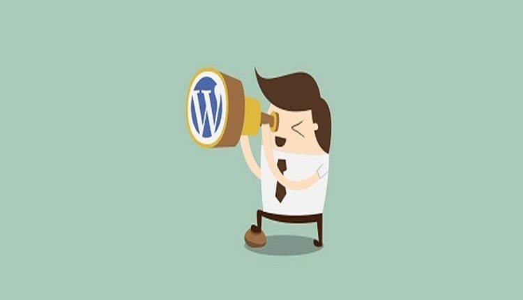 How To Find a WordPress Developer In Sydney? How To Find a WordPress Developer In Sydney?