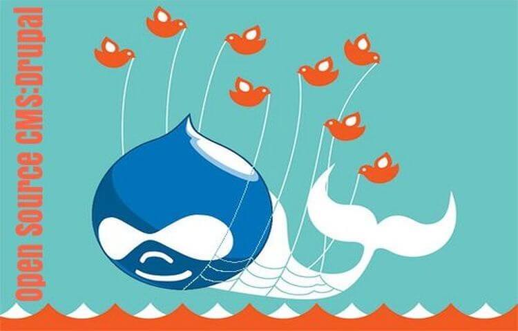 6 Reasons Why To Use Open Source Drupal For Your Website
