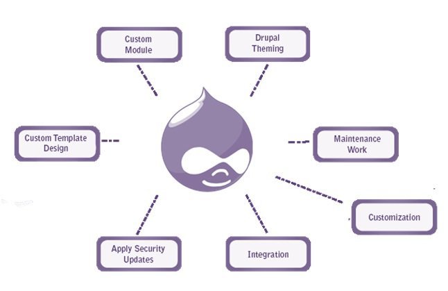 drupal module