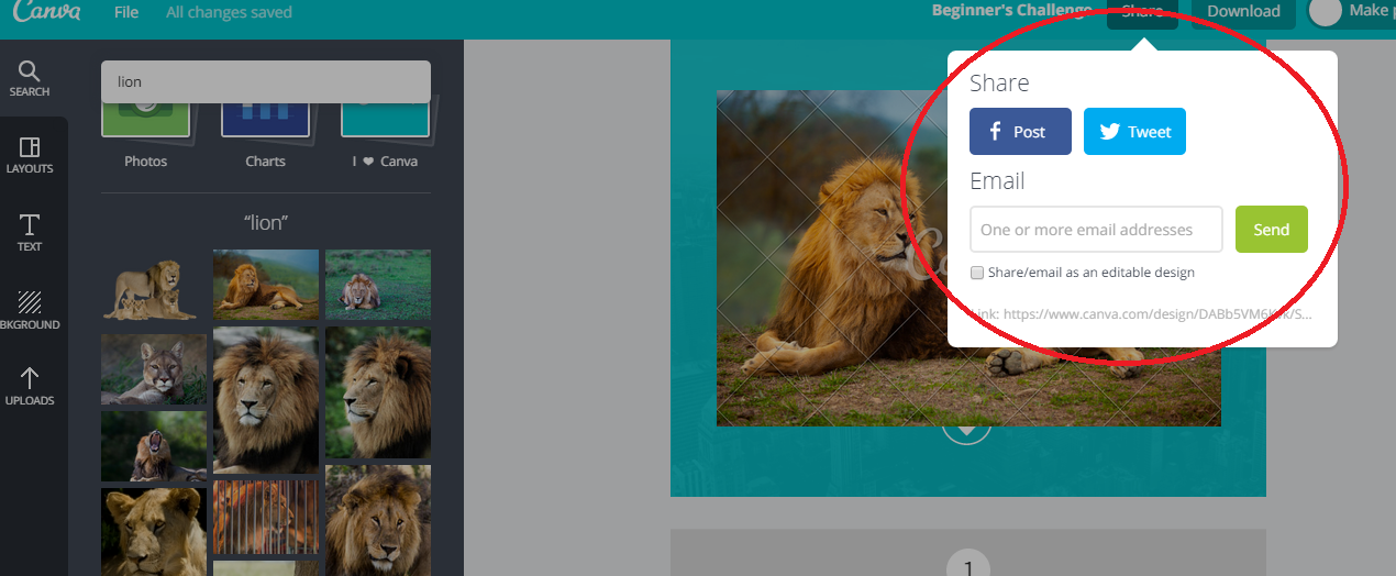 how to use canva step 4