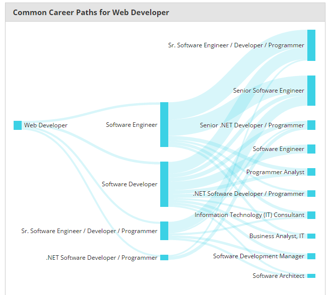 Categories of web developer sydney