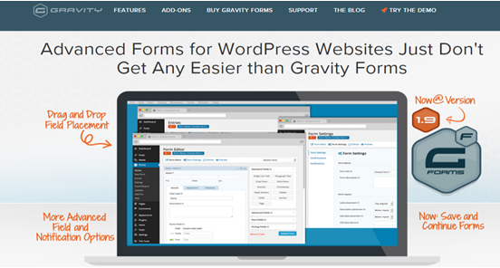 WordPress plugin Gravity forms