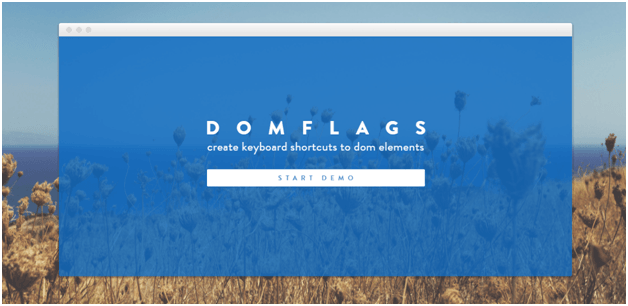 domflags chrome extension