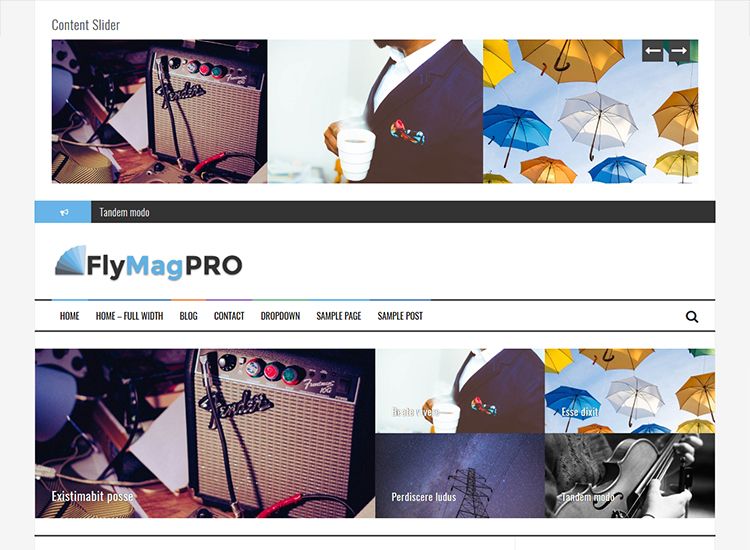 flymag-pro-wordpress-theme