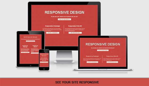 responsive check