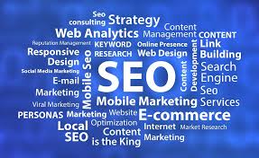 advance-seo-check