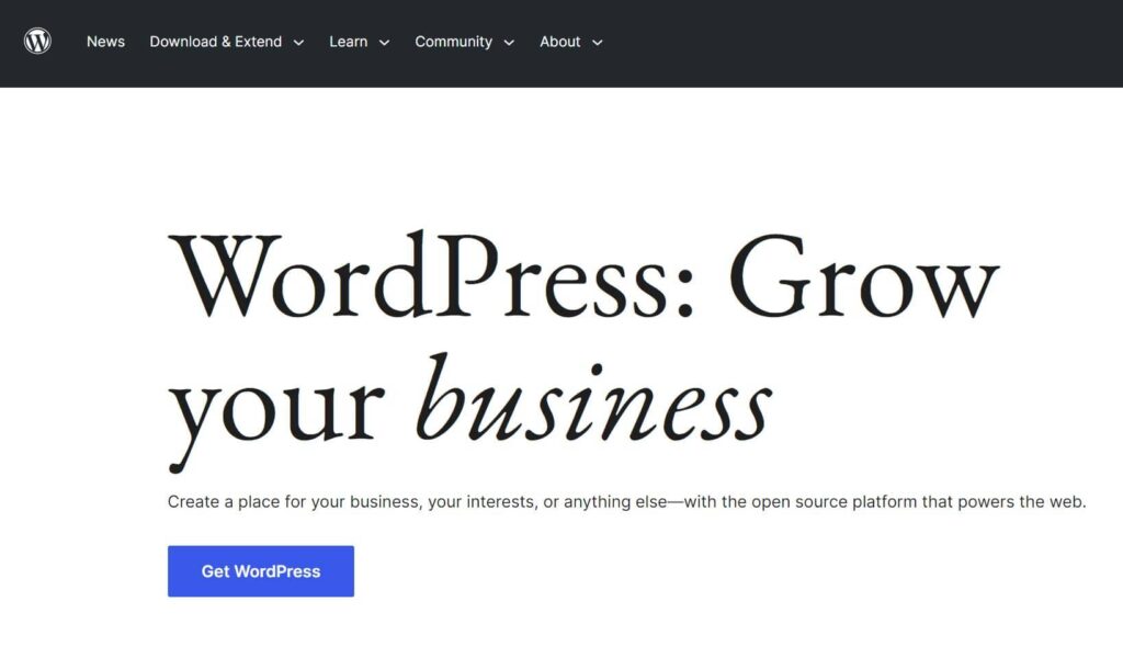WordPress Website CMS