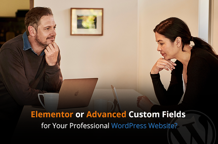 Elementor or Advanced Custom Fields for Your Professional WordPress Website?