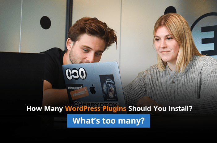 How Many WordPress Plugins Should You Install? What Number is Too Many?