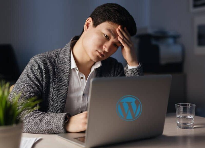 7 Most Misunderstood Facts About WordPress Development