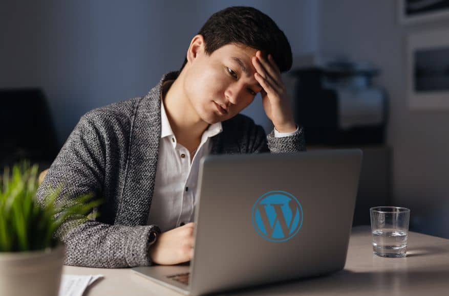 7 Most Misunderstood Facts About WordPress Development