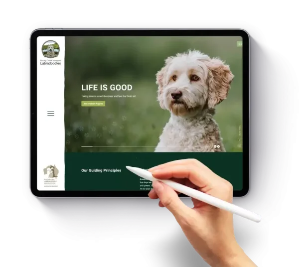 custom web design in sydney