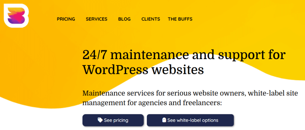 Best WordPress Agency in Seattle (2026): Top 3 Compared 2 WP Buffs- WordPress Agency